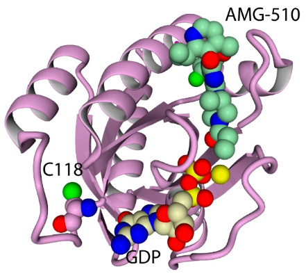 proteoforms 3d reconstruction ras amg510